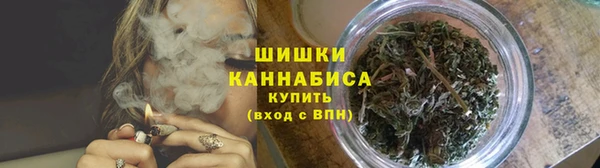 дживик Нягань
