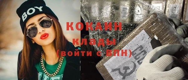 дживик Нягань