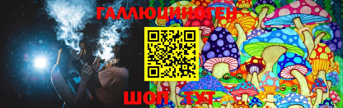 Галлюциногенные грибы Magic Shrooms  Вход с VPN  купить   Галлюциногенные грибы мицелий  Кыштым 