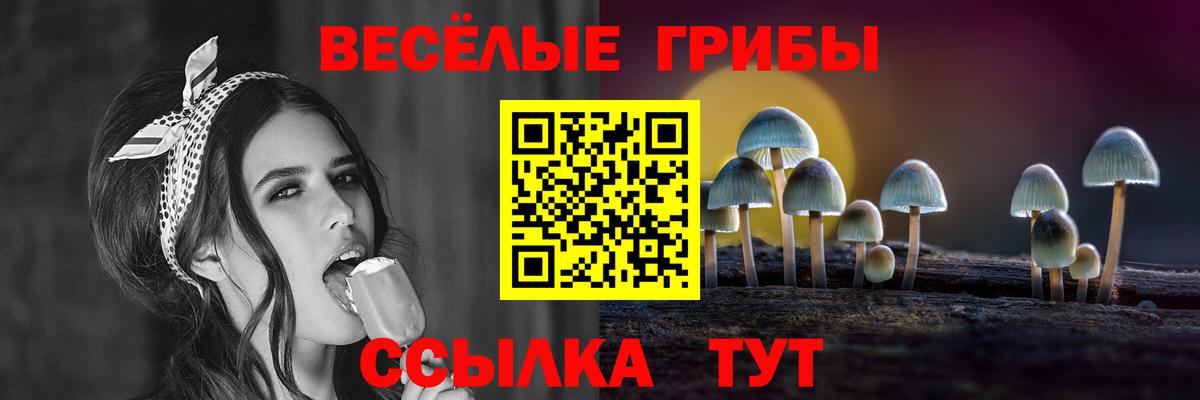 Мефедрон кристаллы  Кокаин  Кыштым  ГАШ  МАРИХУАНА  Вход с VPN 